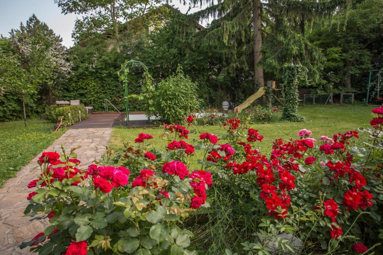 Huebsches Privatzimmer Mit Bad Perchtoldsdorf Bagian luar foto